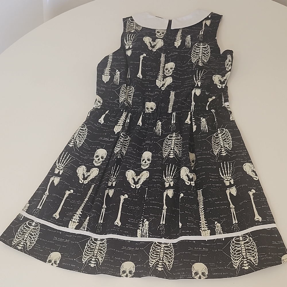 Modcloth Rad To The Bone Retro A-line Dress - Picture 9 of 10